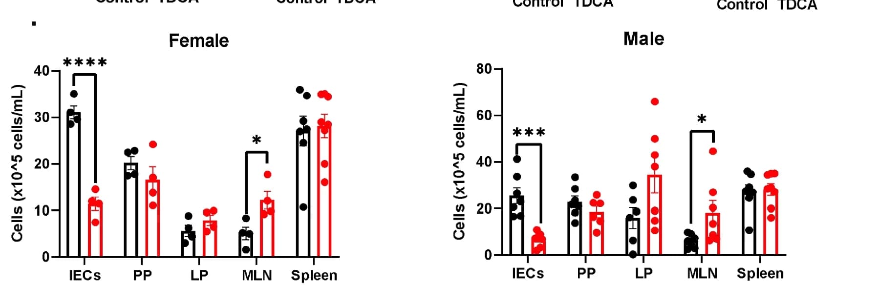 Open access visualization of Bar Plot, Error Bars, Scatter Plot, Cell Count, Intestinal Epithelium Cells
