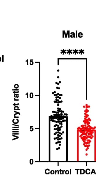 Open access visualization of Bar Plot, Scatter Plot, Error Bars, Villi/Crypt Ratio, Duodenum