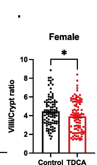Open access visualization of Bar Plot, Scatter Plot, Error Bars, Villi/Crypt Ratio, Duodenum