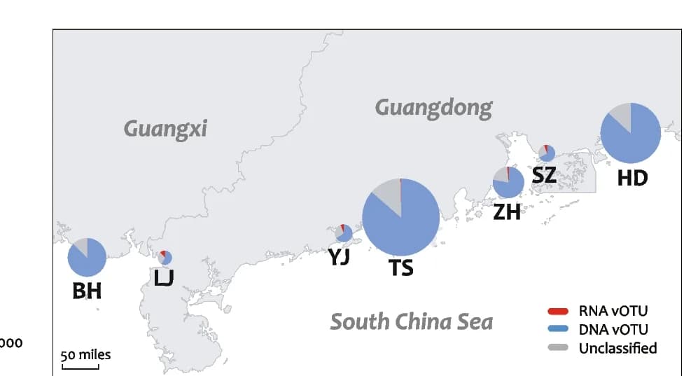 Open access visualization of Geo Map, Pie Chart, Sampling Site, Distribution Map, vOTUs