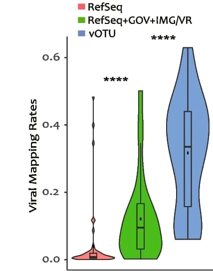 Open access visualization of Violin Plot, Box Plot, Mapping Rates, Viral Reads, Clean Reads