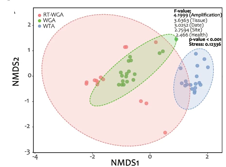 Open access visualization of Scatter Plot, NMDS, Amplification Groups, PERMANOVA, RT-WGA