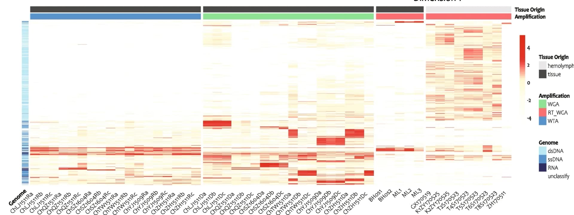 Open access visualization of Heatmap, vOTUs, Euclidean Method, Viral Genome Types, Amplification Strategy