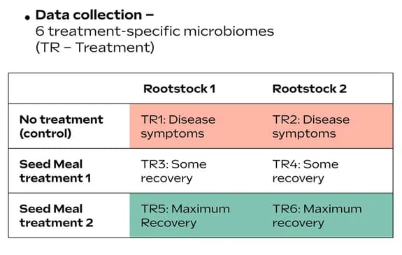 Open access visualization of Table Image, Data Analysis, Treatment, Environmental Resources, Prediction
