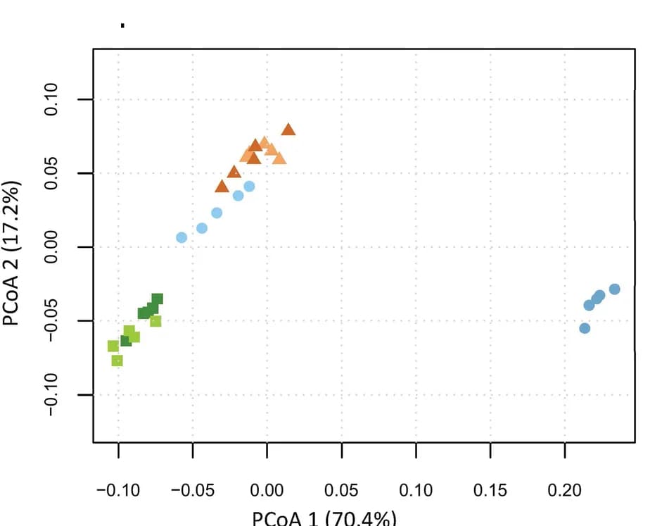 Open access visualization of Scatter Plot, PCA, Principal Coordinates Analysis, Bray-Curtis Dissimilarities, Taxonomic Groups