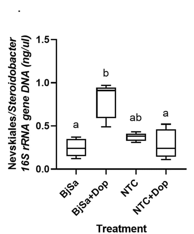 Open access visualization of Box Plot, Nevskiales, Bacterial Genera, Dopamine, Seedling Biomass