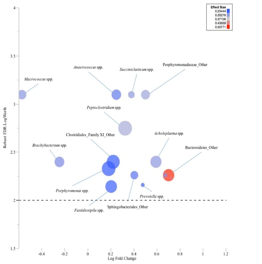 Open access visualization of Bubble Plot, Volcano Plot, Scatter Plot, Microbiota Profile, Genus-Level Analysis