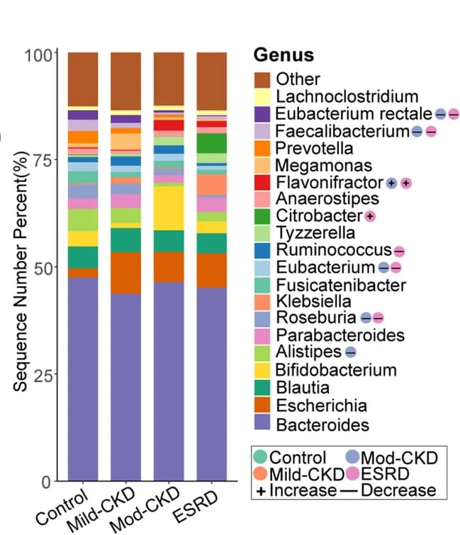 Open access visualization of Stacked Bar Plot, Genera, Microbiota, Relative Abundance, Chronic Kidney Disease
