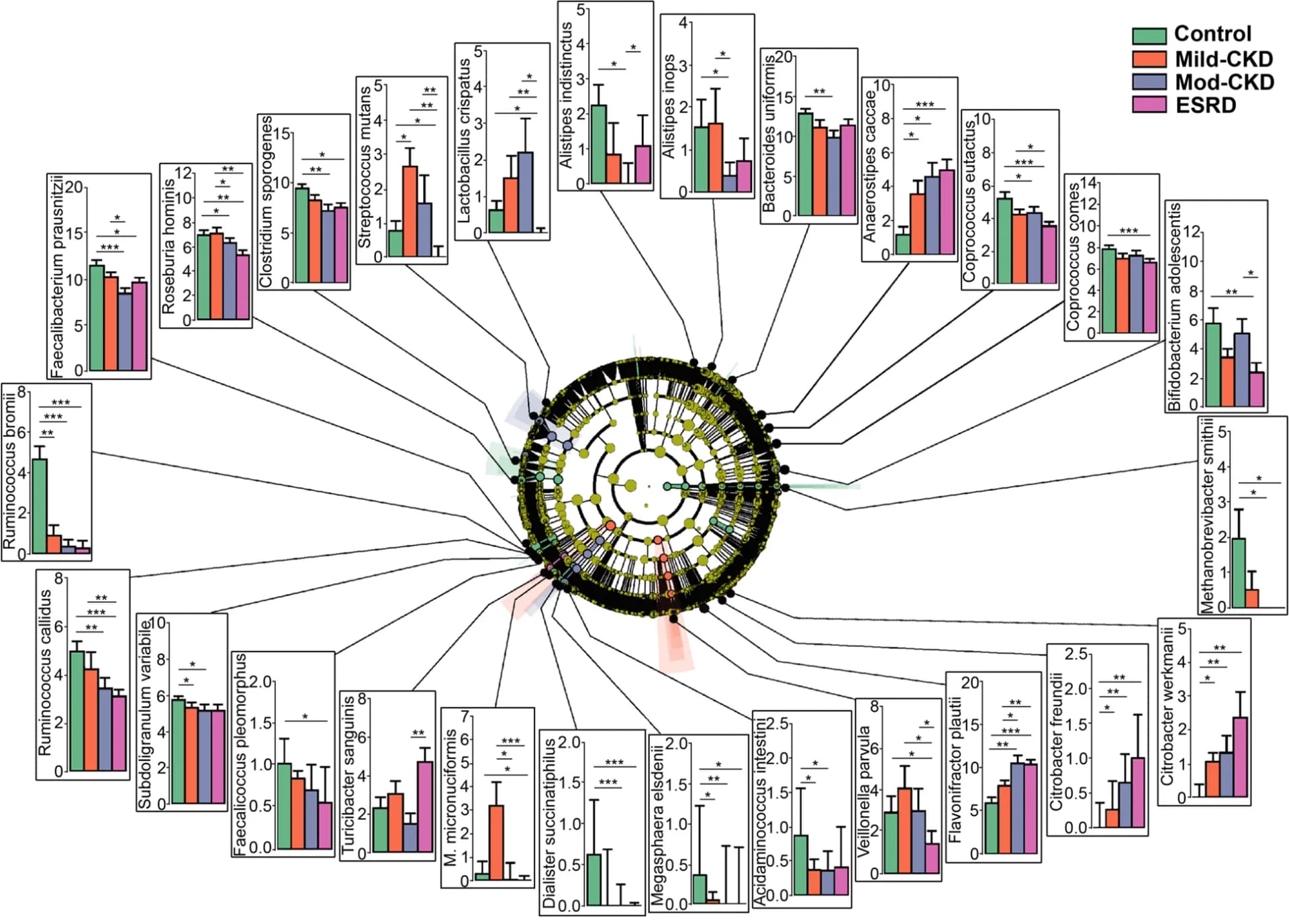 Open access visualization of Bar Plot, Error Bars, Clustered, Network, Taxonomic Analysis