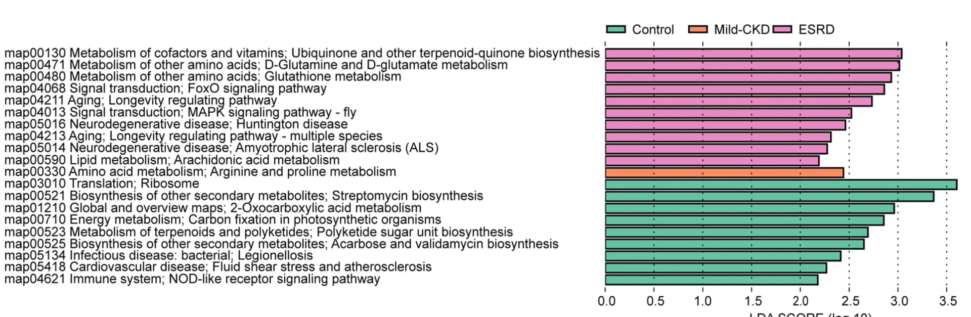 Open access visualization of Bar Plot, Linear Discriminant Analysis, LEfSe Analysis, Microbial Functions, KEGG Pathways