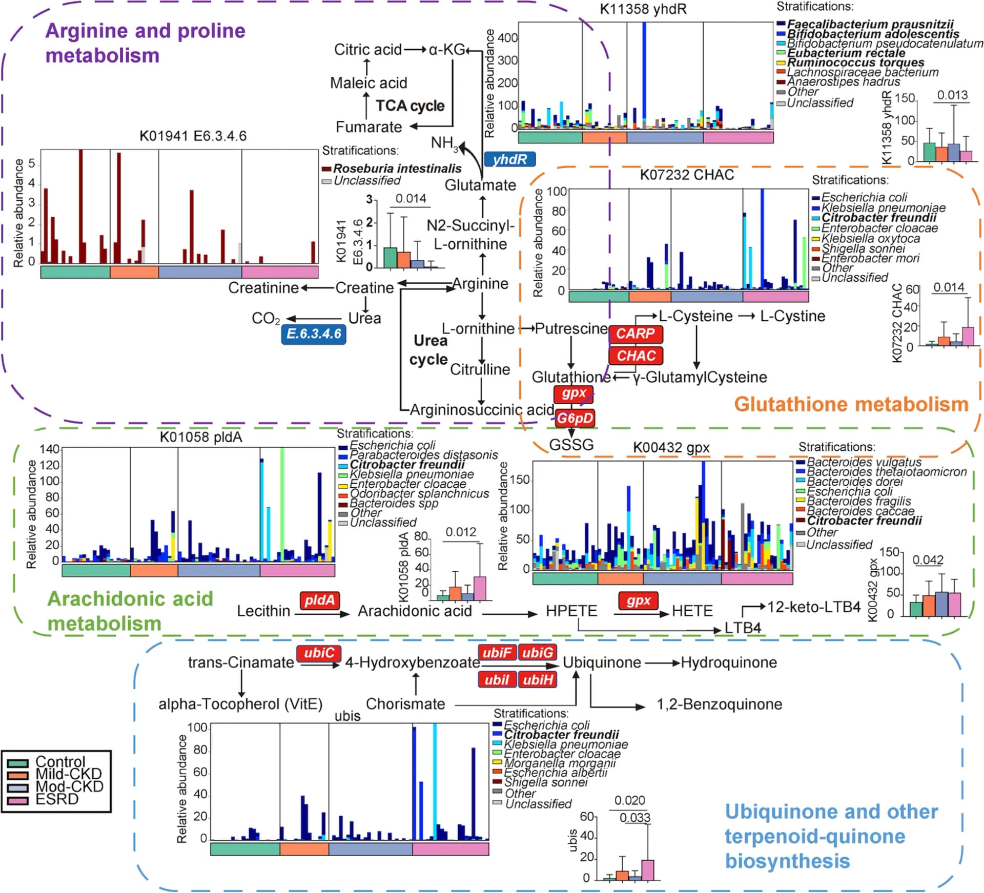 Open access visualization of Bar Plot, Error Bars, Stacked Bar Plot, Gut Microbiome, KO Genes