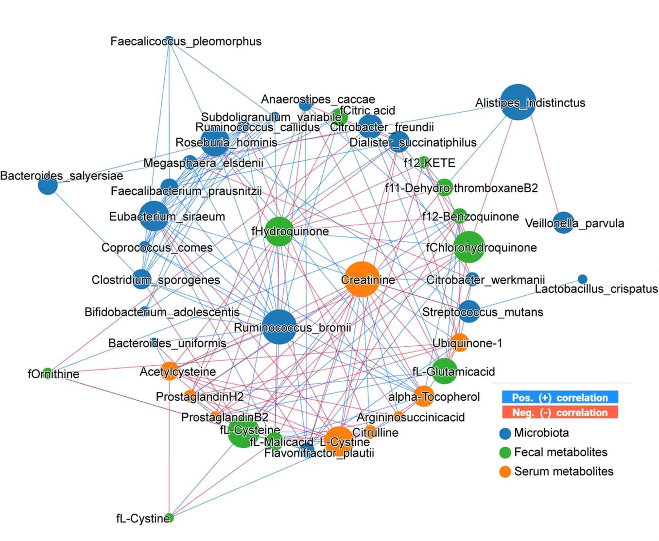 Open access visualization of Network, CKD, Microbial species, Fecal metabolites, Serum metabolites
