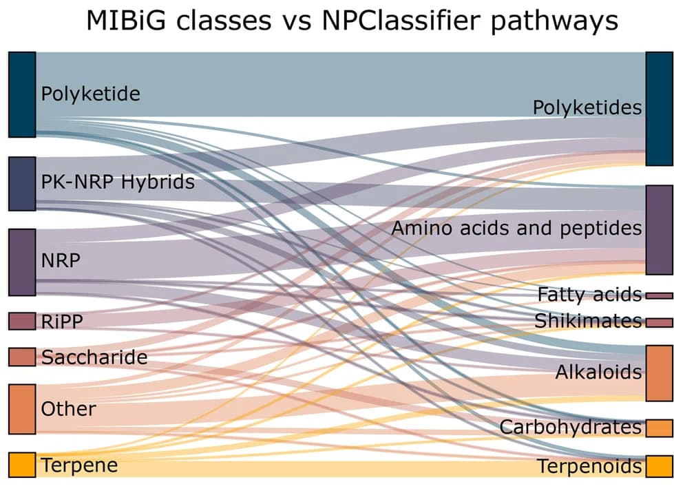 Open access visualization of Sankey, Sankey diagram, MIBiG, NPClassifier, Pathway class terms