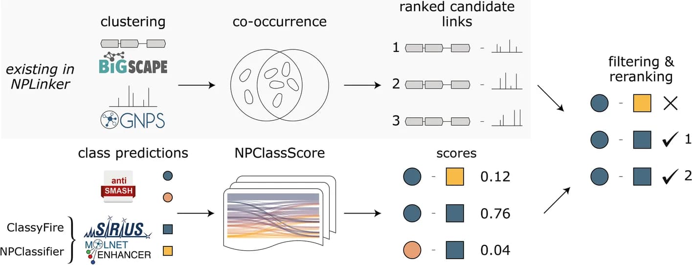 Open access visualization of Workflow, Venn Diagram, Bar Plot, NPClassScore, Integrative omics