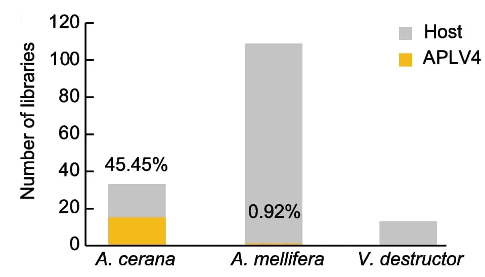 Open access visualization of Stacked Bar Plot, Bar Plot, Positive libraries, Host species, APLV4