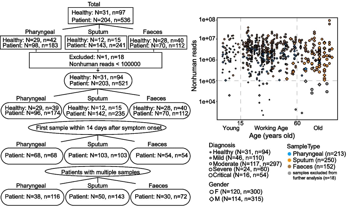Open access visualization of Scatter Plot, Workflow, Sample Information, Patient Information, Sequencing Depth