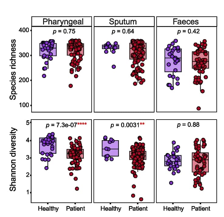 Open access visualization of Box Plot, Scatter Plot, Alpha Diversity, Healthy Controls, COVID-19 Patients