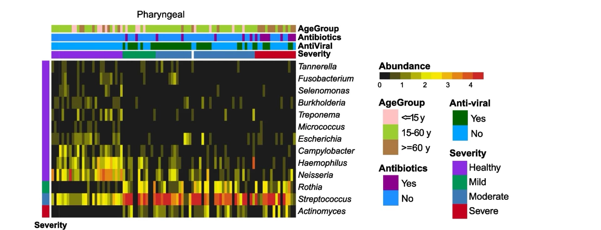 Open access visualization of Heatmap, Bar Plot, Stacked Bar Plot, Genera, Disease Severity
