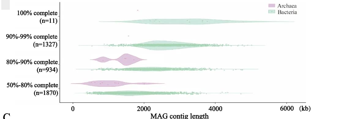 Open access visualization of Violin Plot, Scatter Plot, Genome Completeness, MAG, Genome Length