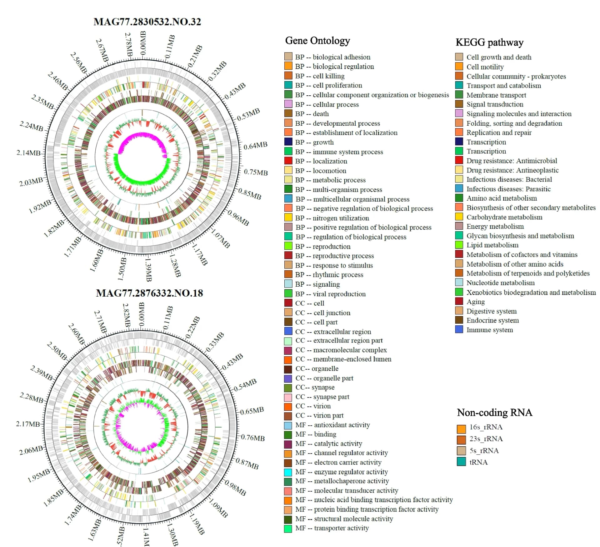 Open access visualization of Workflow, Illustration, Circular Genome, Gene Annotation, Noncoding RNA