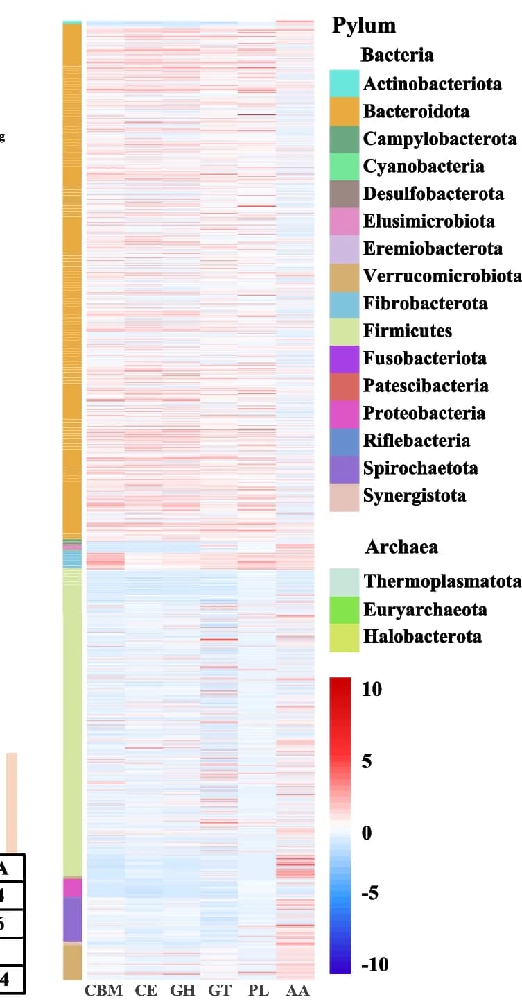 Open access visualization of Heatmap, Bar Plot, Stacked Bar Plot, CAZy, Taxonomic information