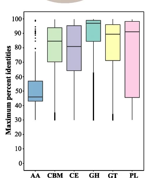 Open access visualization of Box Plot, CAZy, Sequence identity, Public databases, Median value