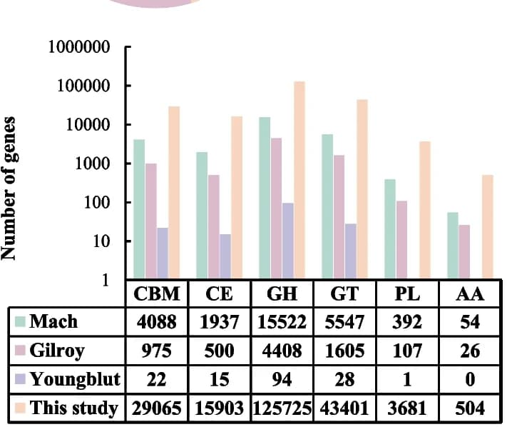 Open access visualization of Clustered, CAZy, Gene numbers, Glycoside hydrolase, Glycosyltransferase