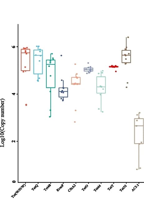 Open access visualization of Box Plot, Scatter Plot, Real-time RT-PCR, ARG, Gene Copy Number