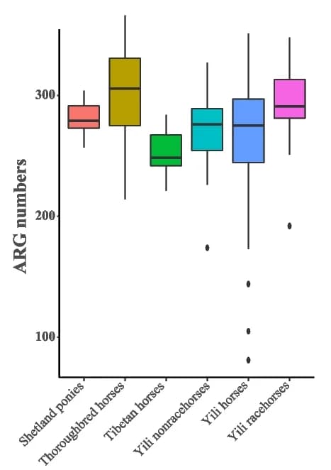 Open access visualization of Box Plot, Gene Counts, ARG, Gut Microbes, Horse Breeds