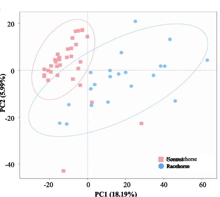Open access visualization of Scatter Plot, PCA, Gut Microbiota, Racehorses, Nonracehorses