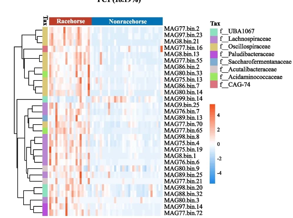 Open access visualization of Heatmap, Clustered, Differentially Abundant MAG, Racehorses, Nonracehorses