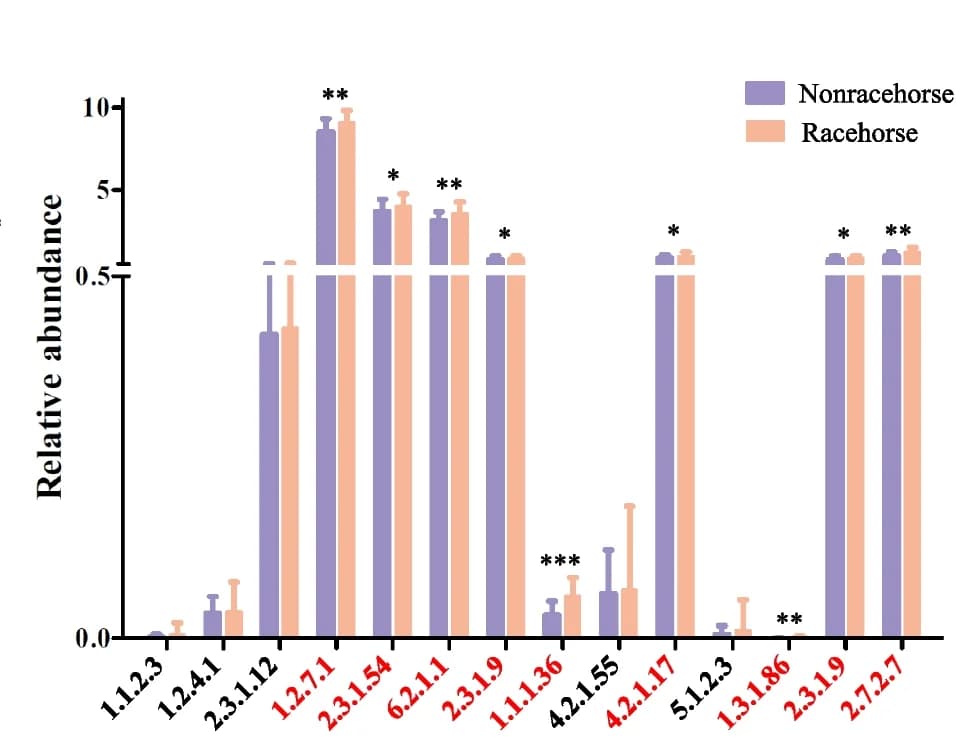 Open access visualization of Clustered, Error Bars, Bar Plot, Bar Chart, Enzymes