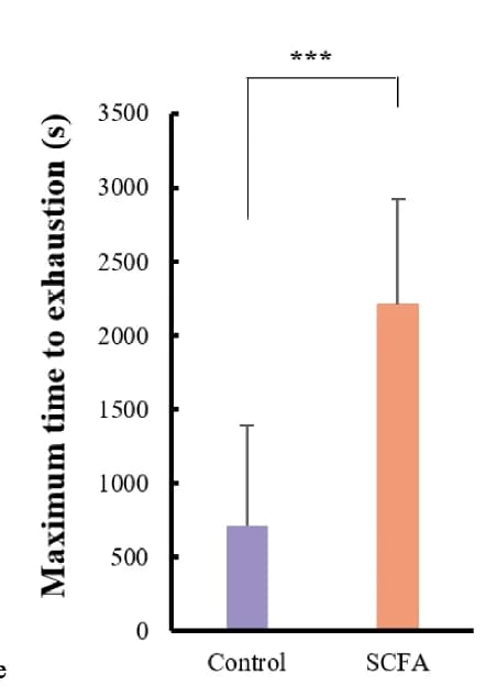 Open access visualization of Bar Plot, Error Bars, Acetate Treatment, Butyrate Treatment, Exercise Performance
