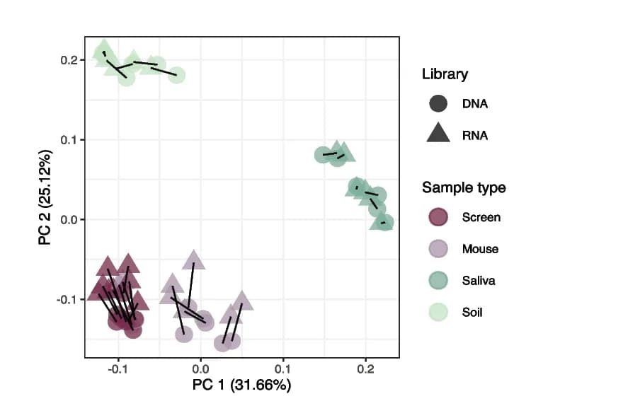 Open access visualization of Scatter Plot, PCA, Ordination, Bray-Curtis Dissimilarity, Sample Types