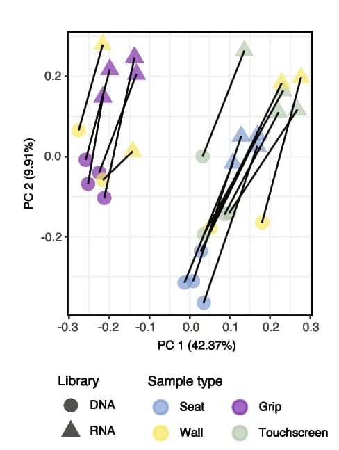 Open access visualization of Scatter Plot, Line Plot, PCA, Principal Coordinate Analysis, PCoA
