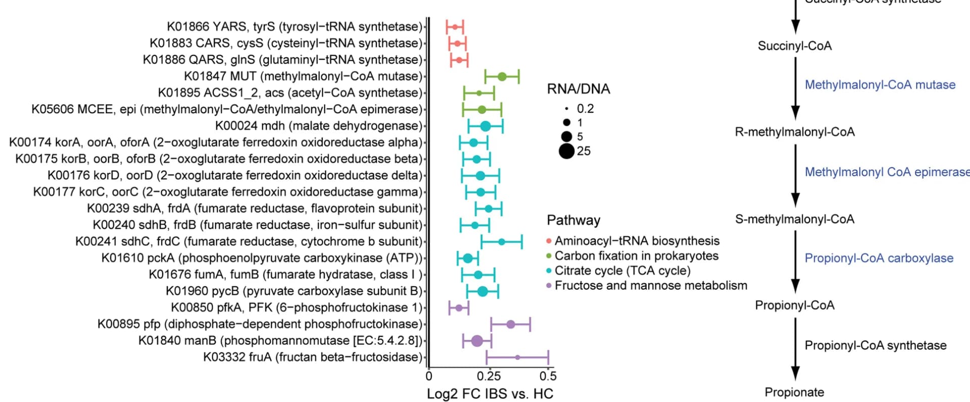Open access visualization of Scatter Plot, Error Bars, Pathway, Illustration, Pathways