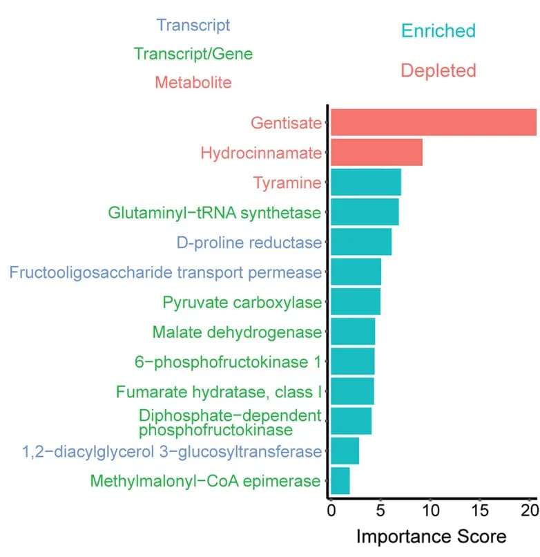 Open access visualization of Bar Plot, Importance Scores, Multi-omics Classifier, IBS Subjects, HC
