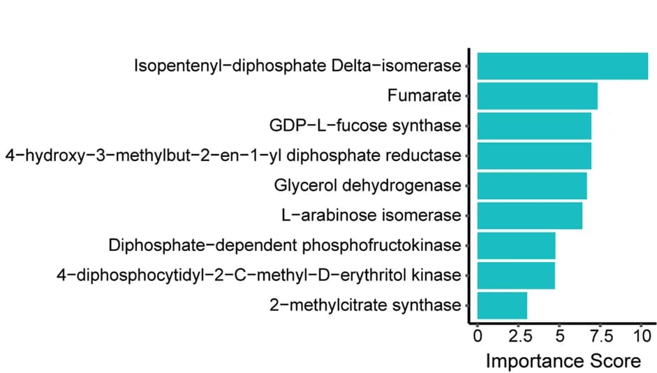 Open access visualization of Bar Plot, Importance Scores, Multi-omics, Features, IBS-D