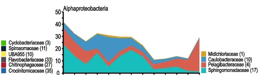 Open access visualization of Line Plot, Density Plot, Microbial Genomes, Spring Bloom, Abundance