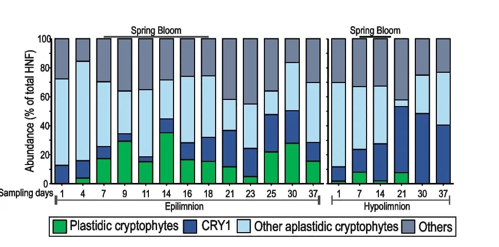 Open access visualization of Stacked Bar Plot, CARD-FISH, Plastidic Cryptophytes, Aplastidic Cryptophytes, Eukaryotes
