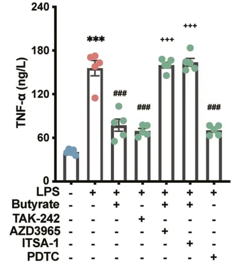 Open access visualization of Bar Plot, Error Bars, Scatter Plot, Cytokines, BV2 Cells