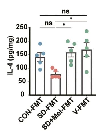 Open access visualization of Bar Plot, Error Bars, Scatter Plot, Cytokines, TNF-α