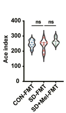 Open access visualization of Violin Plot, Alpha diversity, Colon microbial richness, Evenness, Ace diversity indexes