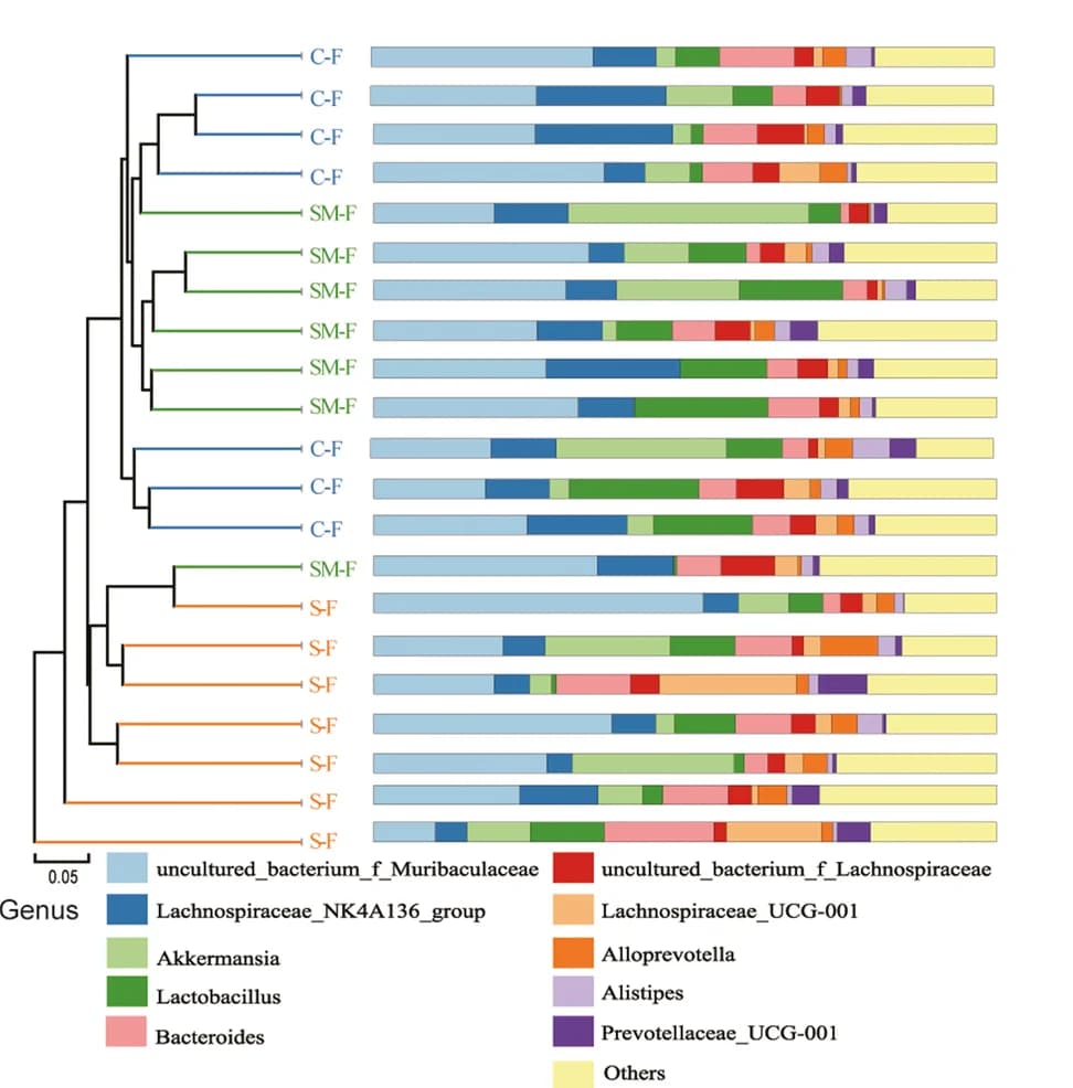 Open access visualization of Stacked Bar Plot, Unweighted pair group method with arithmetic mean, UPGMA, Genus level, Mice cecum