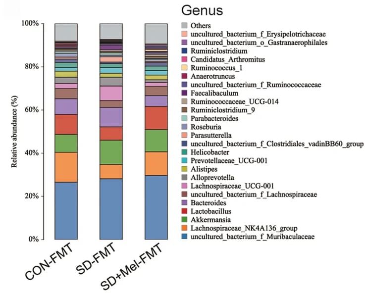 Open access visualization of Stacked Bar Plot, Gut Microbiota, Genus Level, Relative Abundance