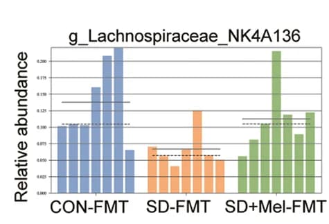 Open access visualization of Bar Plot, Error Bars, g_Lachnospiraceae_NK4A136, Colon Microbiota, LEfSe