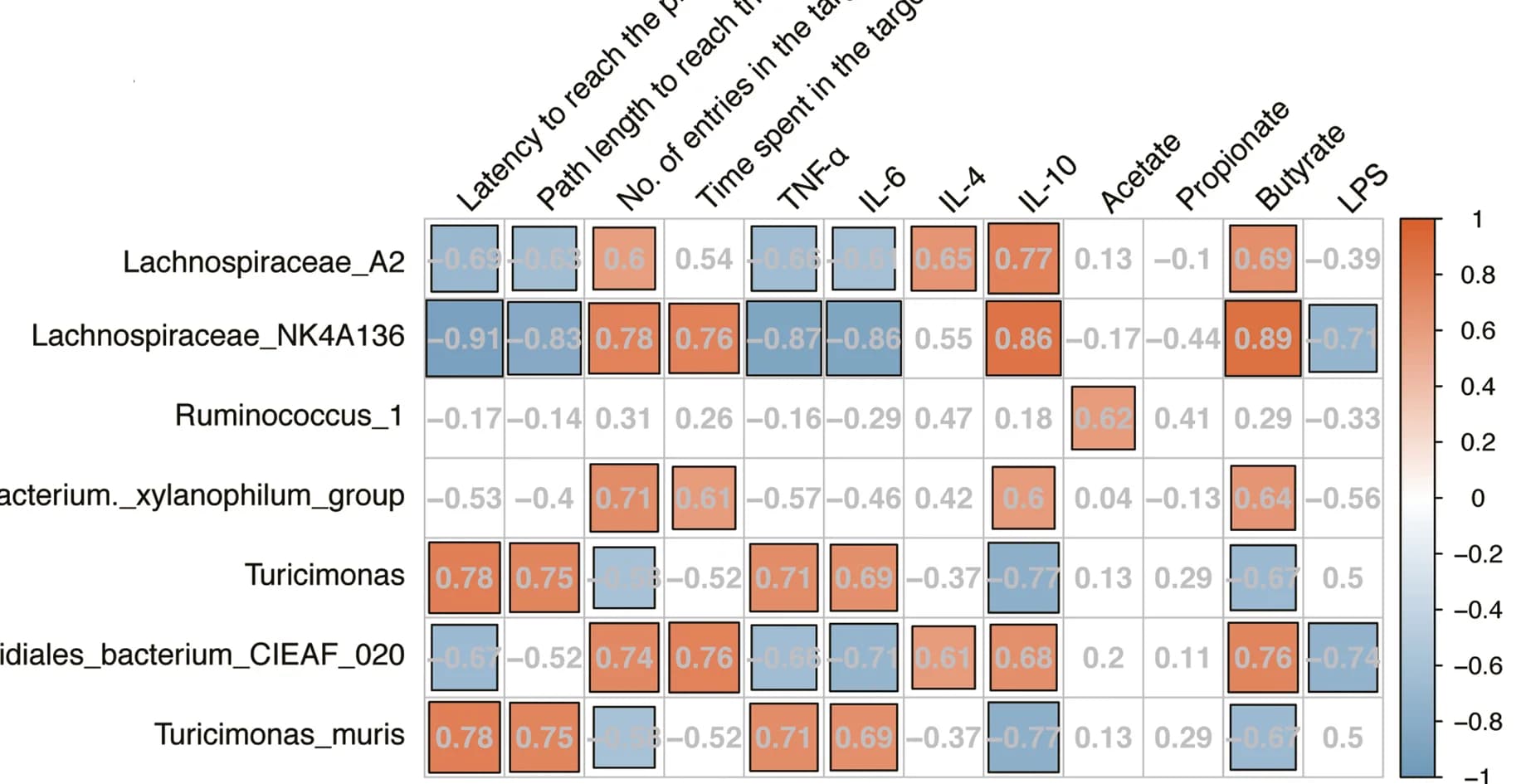 Open access visualization of Heatmap, Metabolites, Microbiota, Correlation