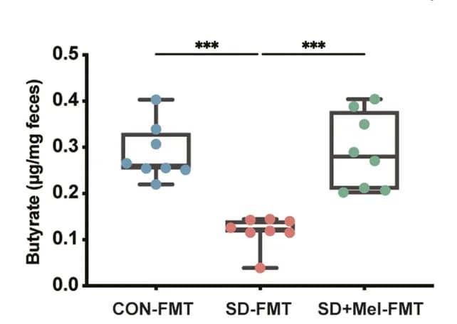 Open access visualization of Box Plot, Scatter Plot, Butyrate, Feces