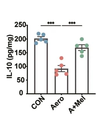 Open access visualization of Bar Plot, Error Bars, Scatter Plot, Iba1-positive Cells, Hippocampus