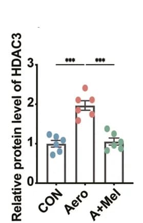 Open access visualization of Bar Plot, Error Bars, Scatter Plot, Protein Levels, TLR4